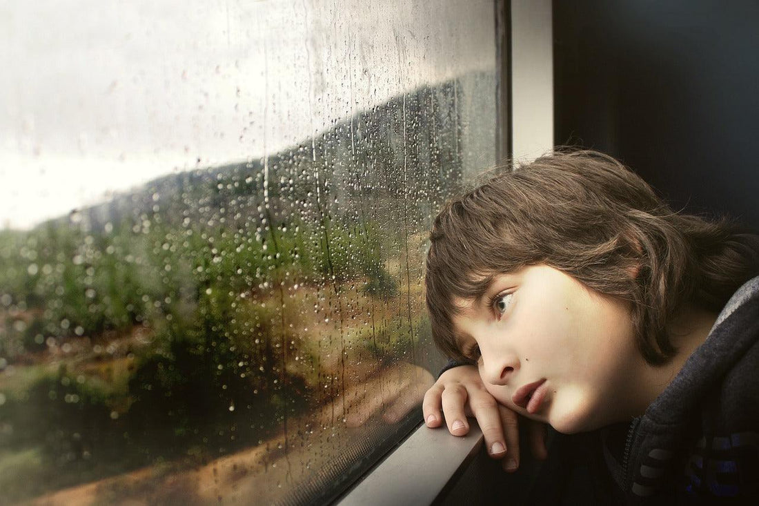 Rainy Day Rescue: Creative Indoor Activities for Kids - Dino Room